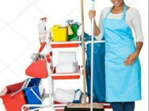 عمالة منزلية في الرياض