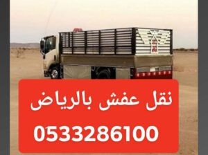 دينا نقل عفش داخل الرياض حي العليا 0َ533286100 بال