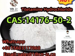 14176-50-2 Tiletamine Hydrochloride