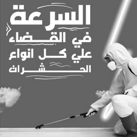 شركة مكافحة الصراصير بحائل رش الصراصير والبق