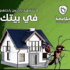 شركة رش مبيدات الصراصير والنمل والبق والفئران