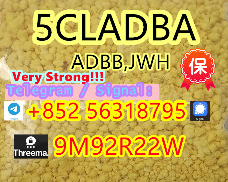 5cladba, ADBB high quality supplier 100% purity,