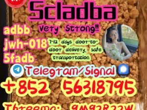 5cladba, the best supplier in China
