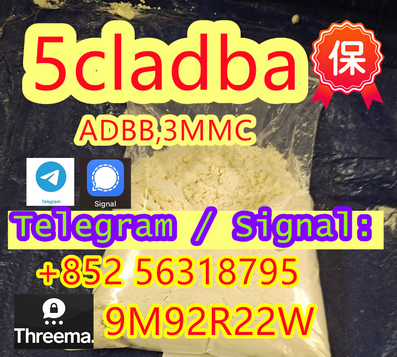 5cladba 5cl yellow powder 5cladba from best suppl