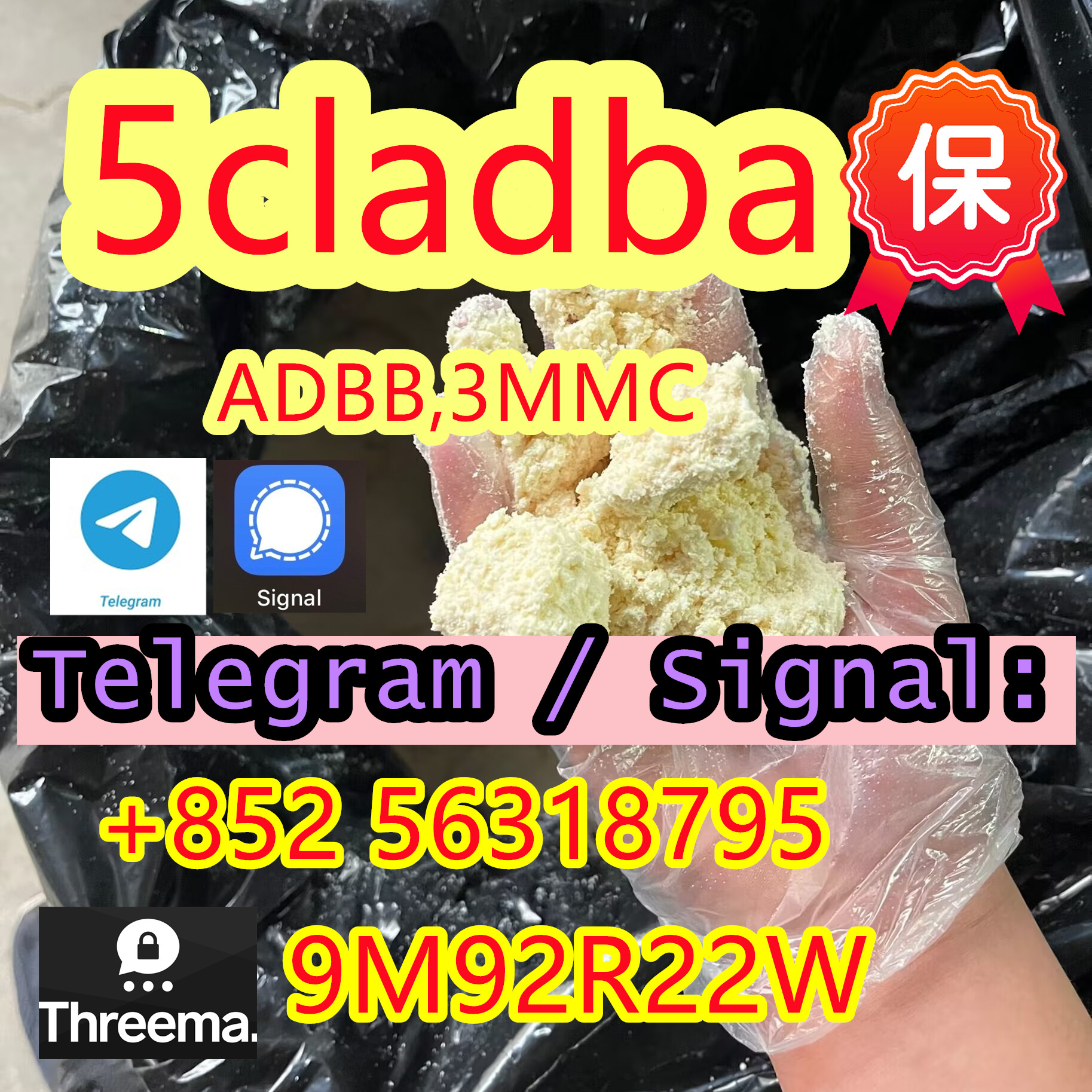 Telegram/Signal +852 56318795 Threema: 9M92R22W C