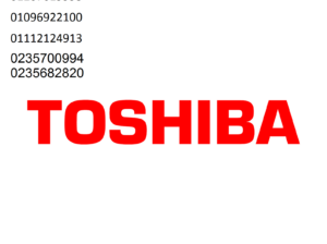 الخط السريع للصيانة توشيبا ميت غمر 01023140280