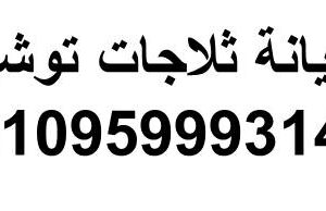 تقنيون اصلاح ثلاجات توشيبا ابو حماد 01210999852