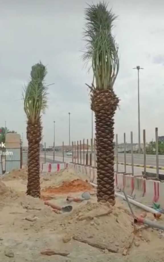 مقاول شبوك ونخيل وبيوت تراثيه 0530866243