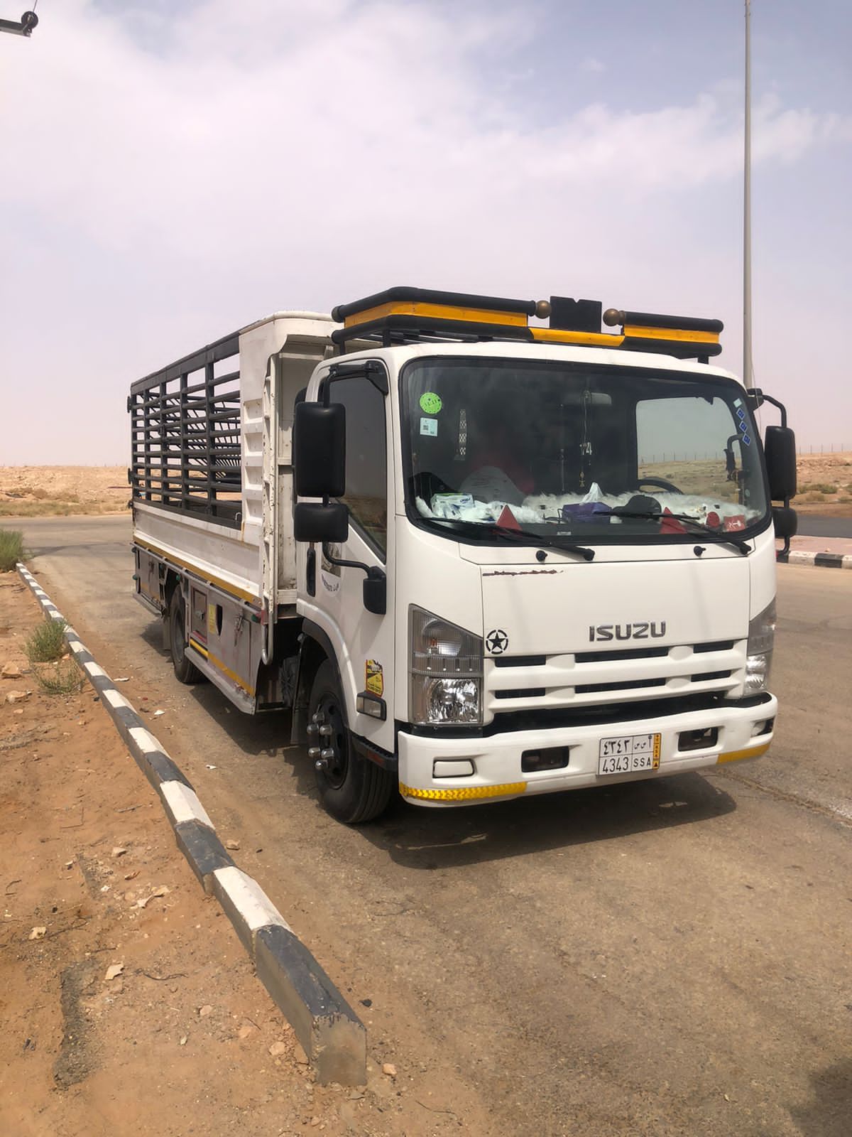 دينا ايسوزو موديل 2014