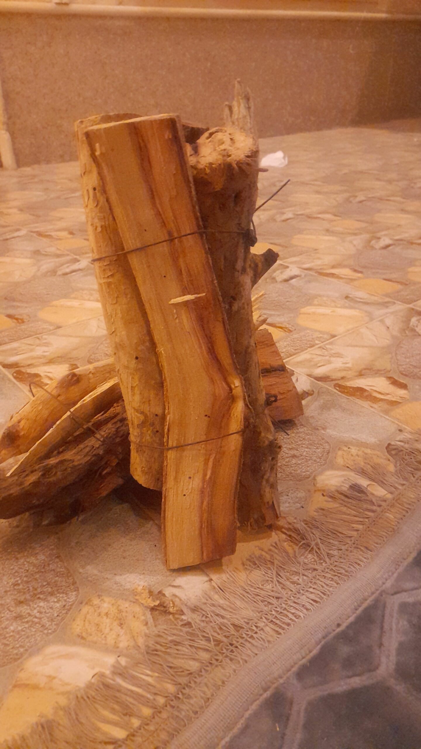 سمر صافي شررررط