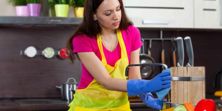 Lidia cleaning services