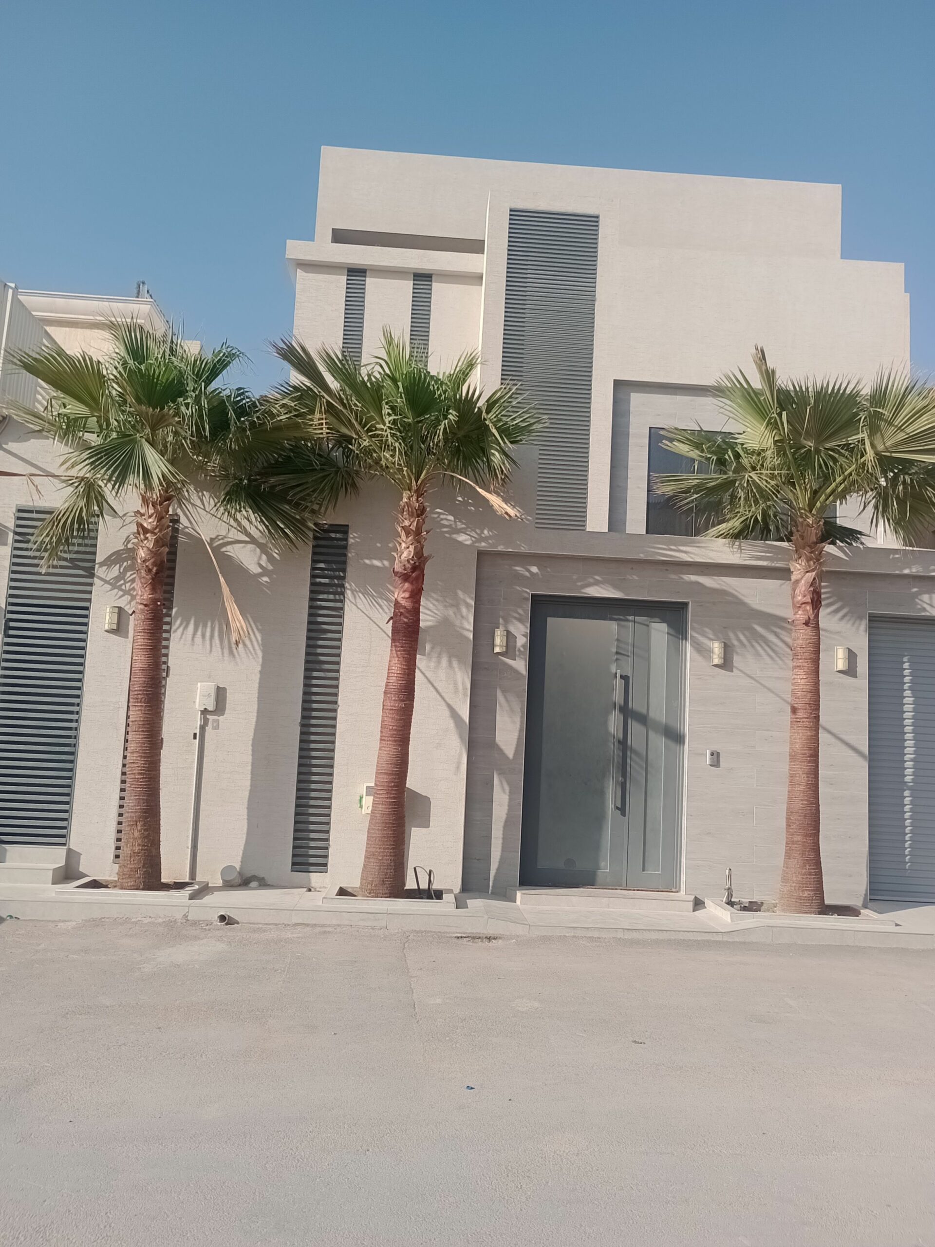 نخل وشنطن ابو مروحة درجة اولا