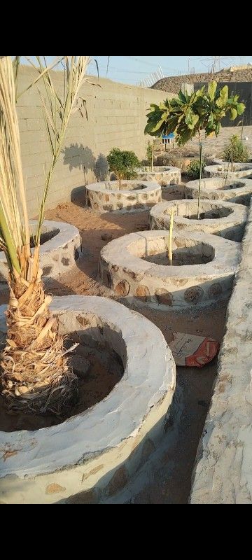 معلم ومقاول حج طبيعي جلسات ومشايت