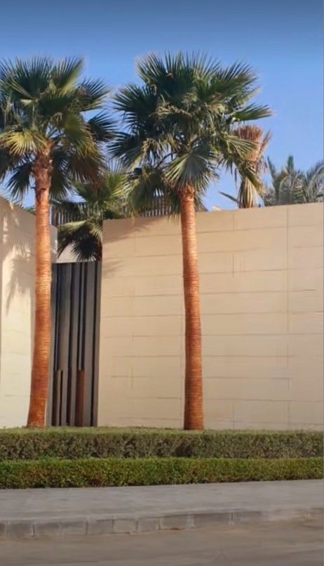 لبيع نخيل الواشنطونيا وعربي واشجار الزينه