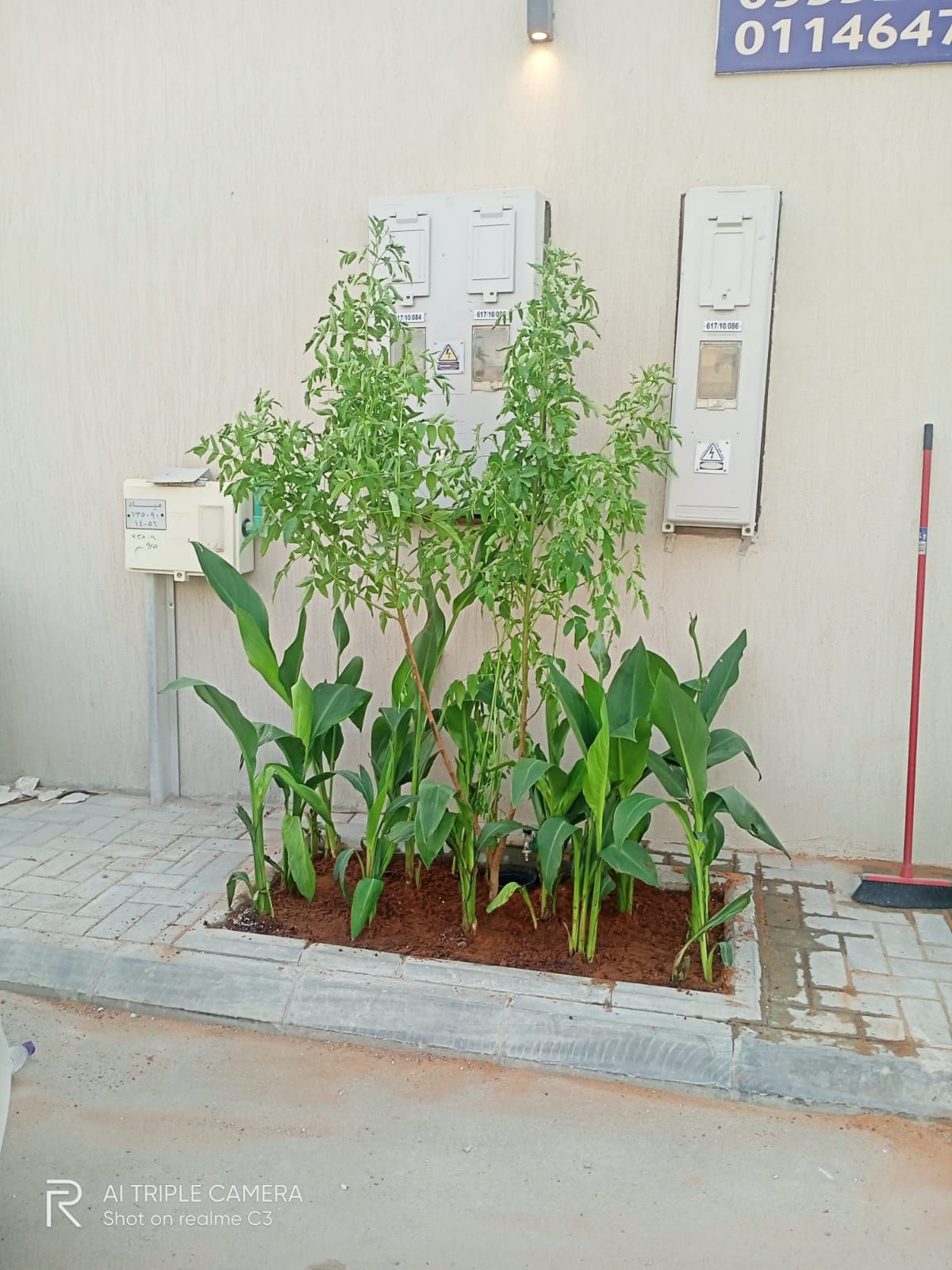 حي الياسمين