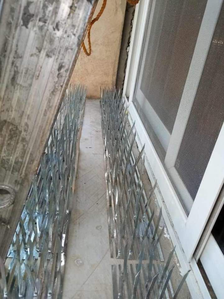 دبابيس طارد الحمام محافظ على نظافة البيت من الخارج