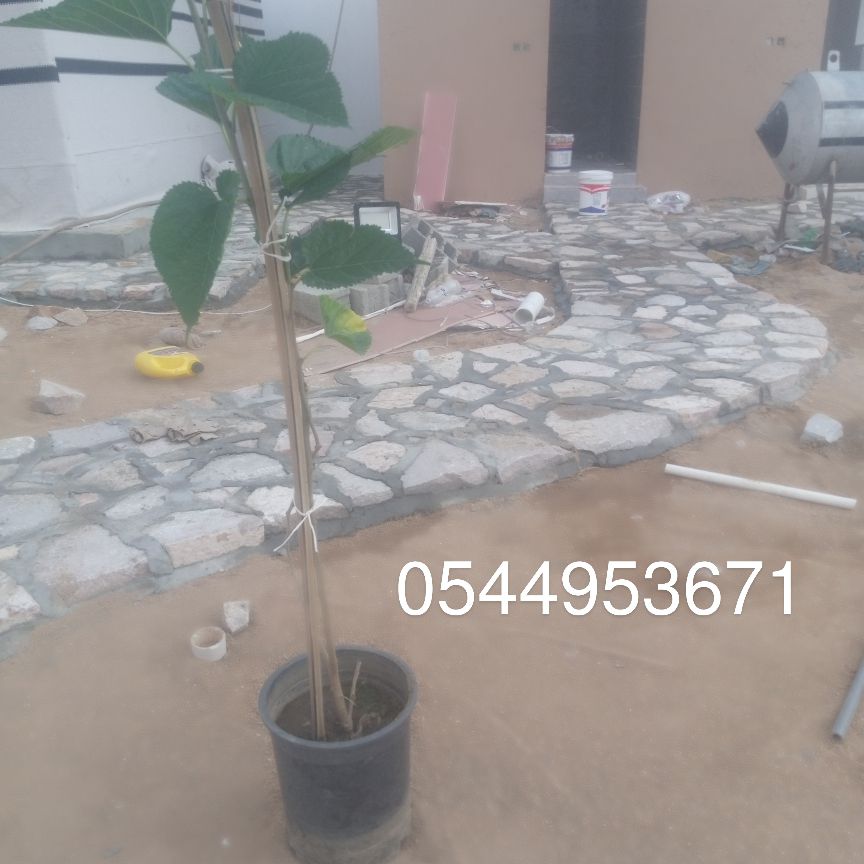 معلم حجر 0544953671