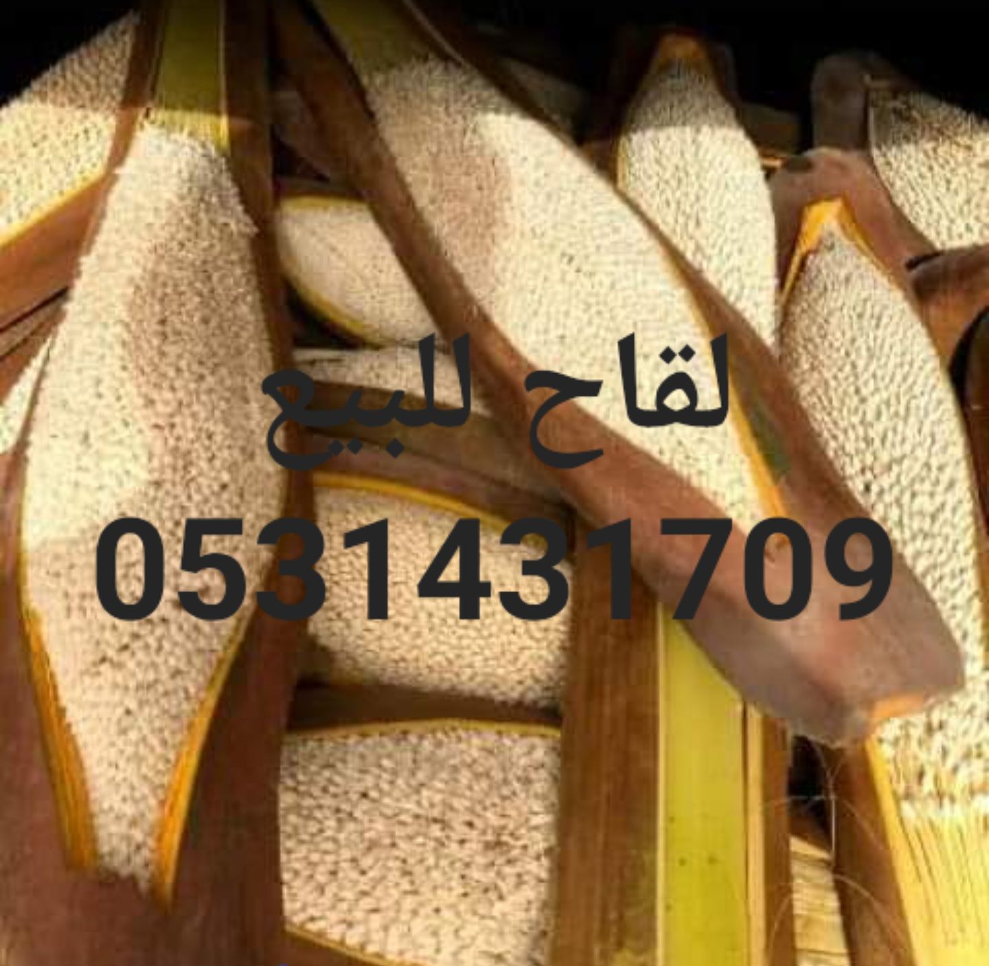 لقاح نخل للبيع مع التوصيل