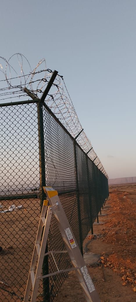 ومقل شبوك وهناقر بجميع انواعها في جميع أنحاء الممل