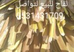 لقاح نخل للبيع مع التوصيل