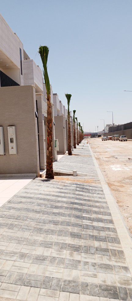 توريد وزرعت النخيل0532482236