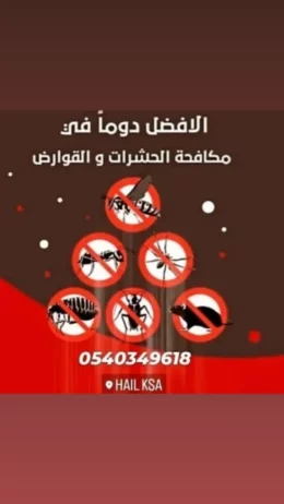 مكافحة حشرات بحائل 0540349618 رش مبيدات حشرات بحائ