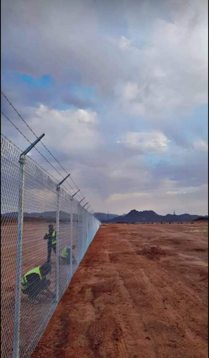 توريد وتركيب نخيل عربي وشنطني وتركيب شبوك