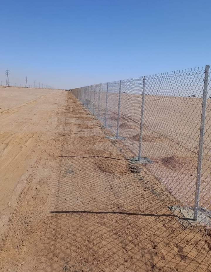 توريد وتركيب نخيل عربي وشنطني وتركيب شبوك