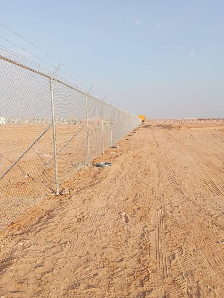 توريد وتركيب نخيل عربي وشنطني وتركيب شبوك