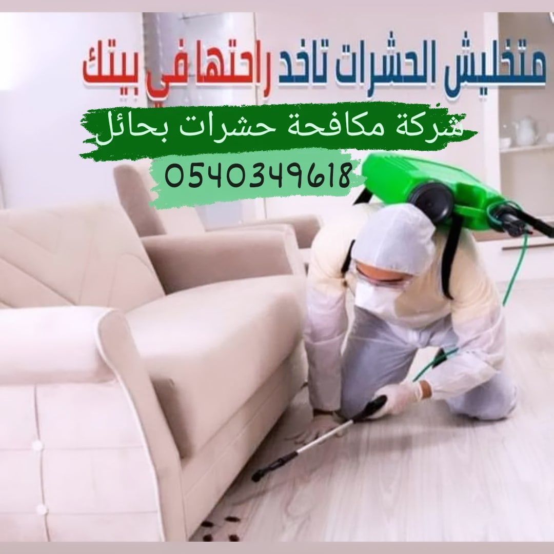 شركة مكافحة حشرات بحائل 0540349618رش مبيدات الصراص