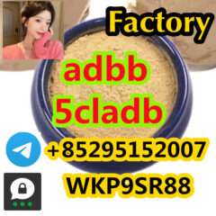 9db4dd72-5731-4cdc-9511-f69f74f011e6