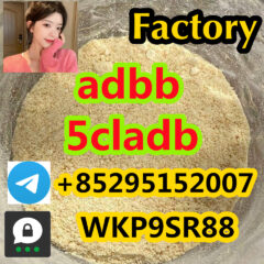 fc56b85a-f540-418c-a4b2-a38e1d0621fe