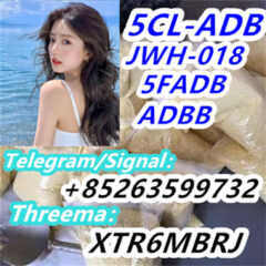 001b5381-eb40-492c-b6e1-5cee90cb53a9