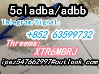 0d02d6e8-adaa-4ba8-bd9d-2b6ba3bd36be-1