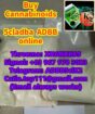 5cladba 5cl ADBB 5F spice K2 mamba precursors 6cla