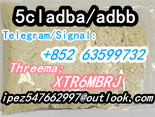 5CL-ADB supplier 5cladba 5cladb vendor on sale