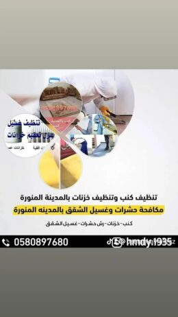 المدينة المنورة