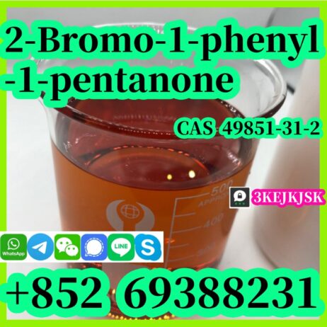 الشركة المصنعة الصينية 2-Bromo-1-phenyl-1-pentanon