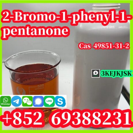 الشركة المصنعة الصينية 2-Bromo-1-phenyl-1-pentanon