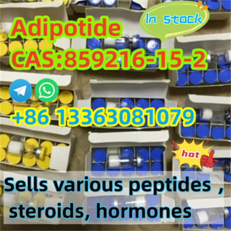 High Quality Cagrilintide Powder Cagrilintide CAS