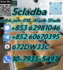 4b94a168133ea9a2d1ff086abaf8f6ac