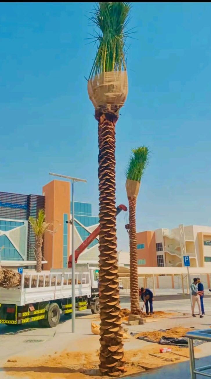 جدة وظائف مكه القصيم