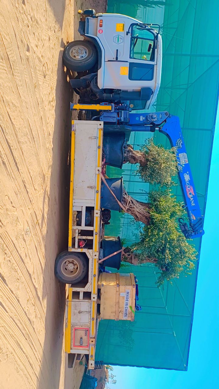 سطحه ونش للنقل والايجار اليوميه