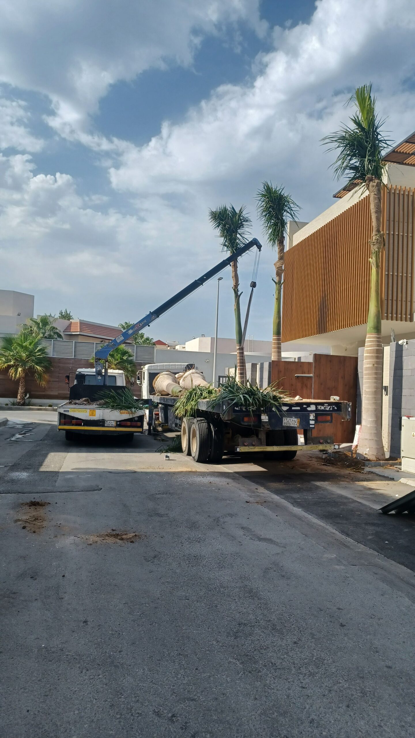 سطحه ونش للنقل والايجار اليوميه