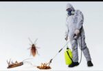 شركة مكافحة الحشرات الطائرة والزحفه