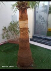 821c5175-a193-4249-83df-b5f80c275adf