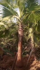 f14e52a1-37b1-4276-b903-280eeebe436b