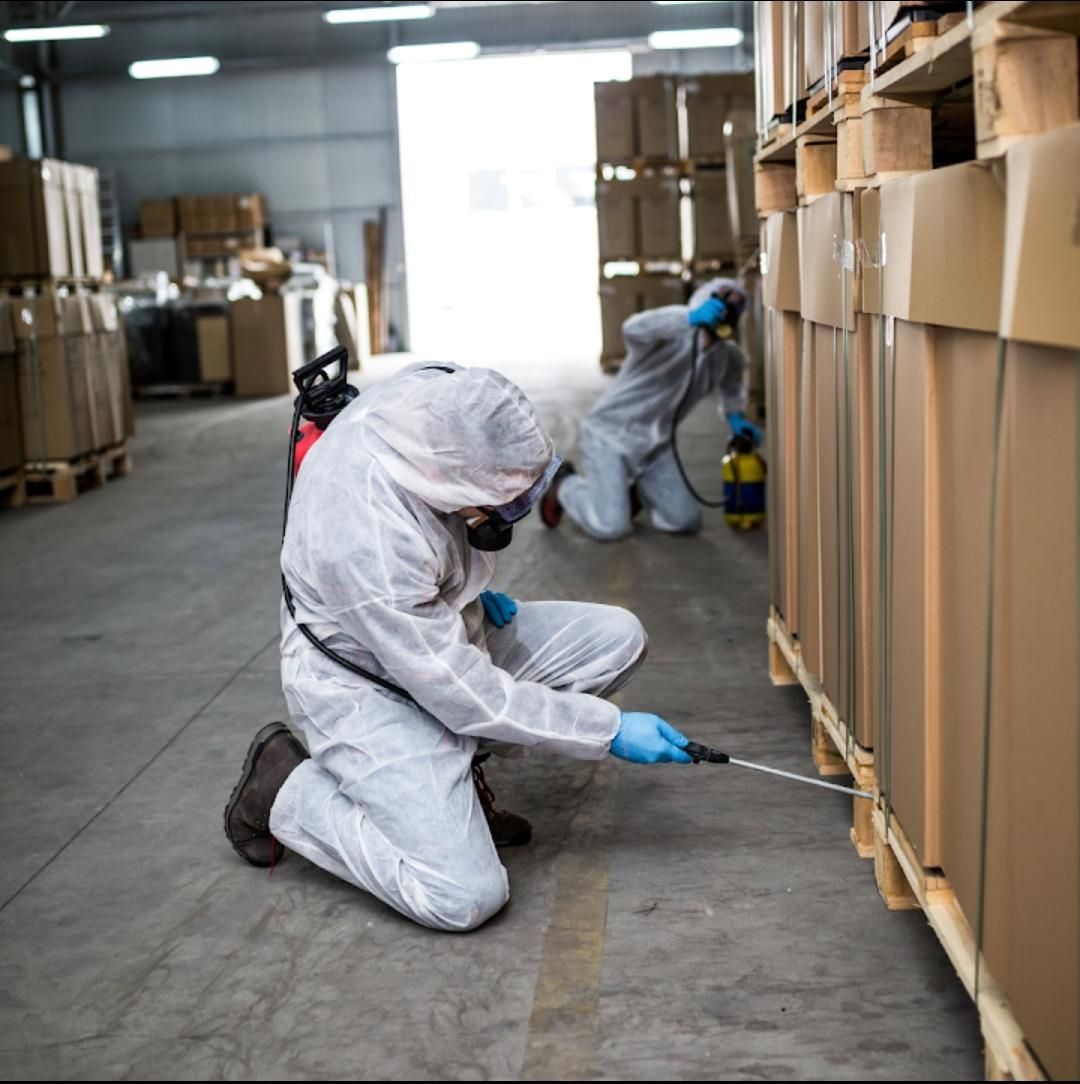 شركة مكافحة الحشرات الطائرة والزحفه