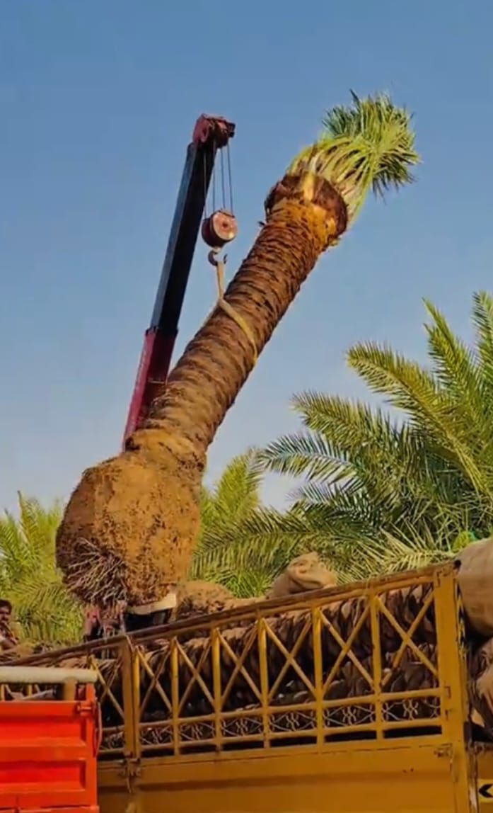 جدة وظائف مكه القصيم