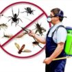 شركه مكافحة الحشرات بأفضل مبيدات الحشرات مكافحة ال